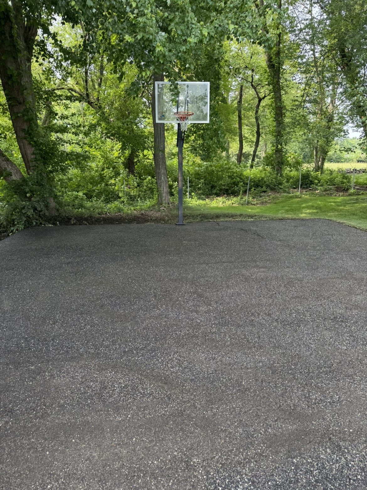 Driveway after pressure washing